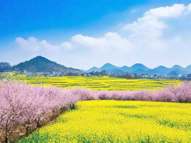 成都周边春游去哪里?春日限定风景好去处推荐-图1 成都周边春游去哪里?春日限定风景好去处推荐-图1