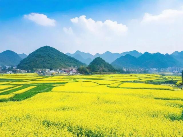 成都周边春游去哪里?春日限定风景好去处推荐-图2 成都周边春游去哪里?春日限定风景好去处推荐-图2