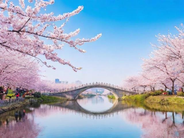 成都周边春游去哪里?春日限定风景好去处推荐-图4 成都周边春游去哪里?春日限定风景好去处推荐-图4