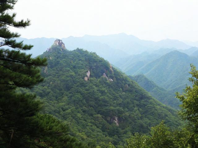 金龙山国家森林公园哪里值得玩?必去景点与路线攻略-图2 金龙山国家森林公园哪里值得玩?必去景点与路线攻略-图2