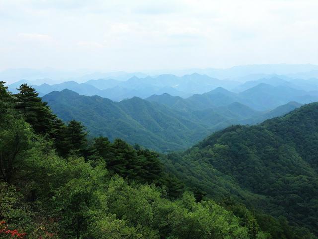 金龙山国家森林公园哪里值得玩?必去景点与路线攻略-图3 金龙山国家森林公园哪里值得玩?必去景点与路线攻略-图3