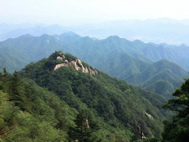 金龙山国家森林公园哪里值得玩?必去景点与路线攻略-图4 金龙山国家森林公园哪里值得玩?必去景点与路线攻略-图4