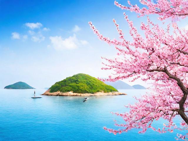根据您的要求,直接生成的简洁、SEO友好的疑问标题是,,桃花岛为何被称为浪漫与活力的交汇点?,说明,,核心关键词前置, 桃花岛 放在最前面,是用户搜索的核心。,疑问句式, 使用为何被称为构成疑问,吸引点击,符合用户搜索意图(寻求解释)。,包含核心描述词, 完整包含您提供的核心描述浪漫与活力的交汇点,确保标题精准反映内容主题。,简洁, 整个标题精炼,没有冗余词汇。,SEO友好, 标题直接包含用户可能搜索的关键短语桃花岛、浪漫、活力、交汇点。-图1 根据您的要求,直接生成的简洁、SEO友好的疑问标题是,,桃花岛为何被称为浪漫与活力的交汇点?,说明,,核心关键词前置, 桃花岛 放在最前面,是用户搜索的核心。,疑问句式, 使用为何被称为构成疑问,吸引点击,符合用户搜索意图(寻求解释)。,包含核心描述词, 完整包含您提供的核心描述浪漫与活力的交汇点,确保标题精准反映内容主题。,简洁, 整个标题精炼,没有冗余词汇。,SEO友好, 标题直接包含用户可能搜索的关键短语桃花岛、浪漫、活力、交汇点。-图1