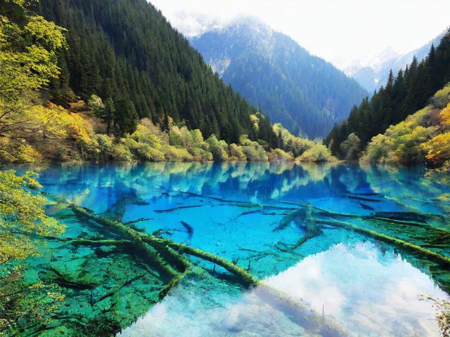 九寨沟为何被誉为人间仙境的色彩天堂?-图3 九寨沟为何被誉为人间仙境的色彩天堂?-图3