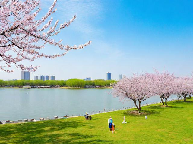 基于太阳岛,城市绿洲的春日重生的核心信息,生成简洁且SEO友好的疑问式标题如下,,太阳岛,城市绿洲如何春日焕新?,理由说明,,核心关键词前置, 太阳岛作为核心地点名称放在开头,最利于SEO抓取和用户识别。,突出核心概念, 城市绿洲直接点明其重要属性。,疑问引发兴趣, 如何春日焕新? 用疑问句式点出春日重生的核心变化,引发读者好奇(是什么变化?怎么变的?),比陈述句更具吸引力。,简洁有力, 整个标题精炼,符合要求。,SEO友好, 包含了用户可能搜索的关键词组合太阳岛、城市绿洲、春日。-图3 基于太阳岛,城市绿洲的春日重生的核心信息,生成简洁且SEO友好的疑问式标题如下,,太阳岛,城市绿洲如何春日焕新?,理由说明,,核心关键词前置, 太阳岛作为核心地点名称放在开头,最利于SEO抓取和用户识别。,突出核心概念, 城市绿洲直接点明其重要属性。,疑问引发兴趣, 如何春日焕新? 用疑问句式点出春日重生的核心变化,引发读者好奇(是什么变化?怎么变的?),比陈述句更具吸引力。,简洁有力, 整个标题精炼,符合要求。,SEO友好, 包含了用户可能搜索的关键词组合太阳岛、城市绿洲、春日。-图3