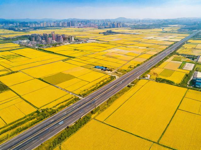 黄金区位与交通脉络如何相互影响？-图2
