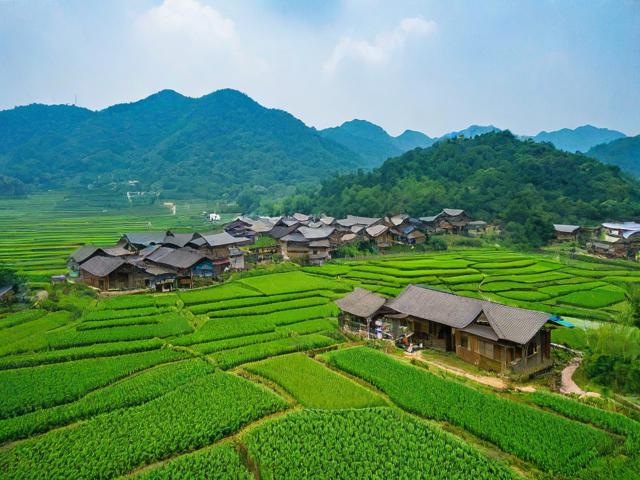 广州周边农家乐哪里适合周末解锁自然野趣?-图2 广州周边农家乐哪里适合周末解锁自然野趣?-图2