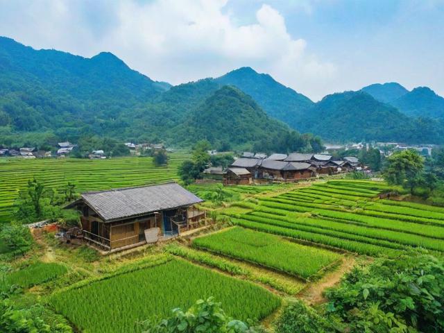 广州周边农家乐哪里适合周末解锁自然野趣?-图3 广州周边农家乐哪里适合周末解锁自然野趣?-图3