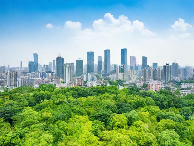城市绿肺如何破解生态平衡难题?-图2 城市绿肺如何破解生态平衡难题?-图2