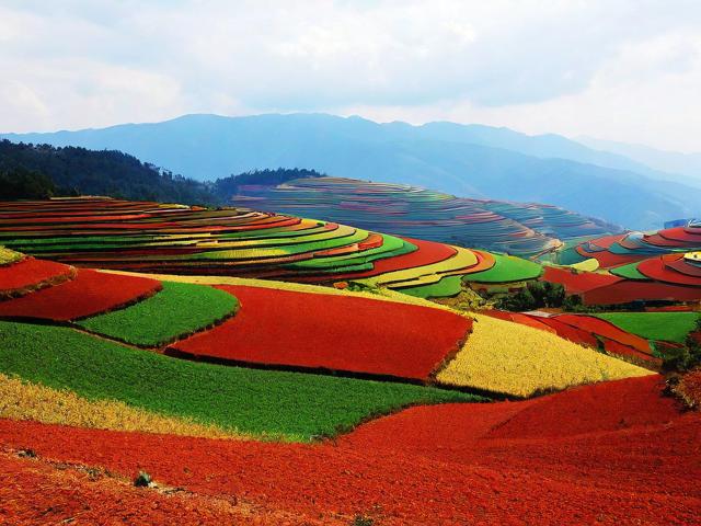 昆明红土地一日游如何体验高原上的天然调色盘?-图2 昆明红土地一日游如何体验高原上的天然调色盘?-图2