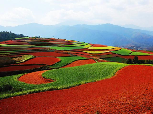昆明红土地一日游如何体验高原上的天然调色盘?-图3 昆明红土地一日游如何体验高原上的天然调色盘?-图3