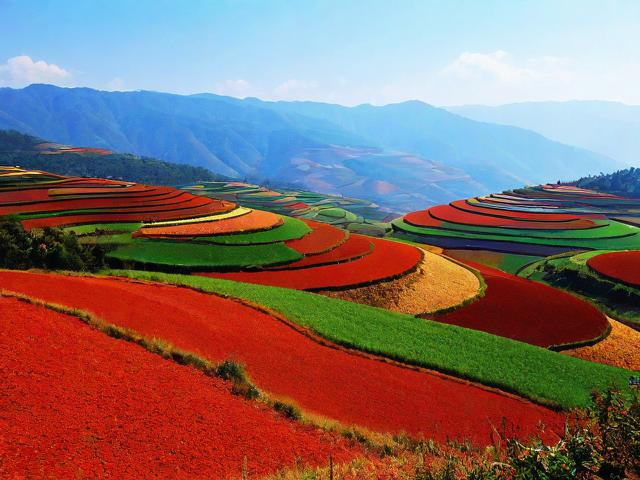 昆明红土地一日游如何体验高原上的天然调色盘?-图4 昆明红土地一日游如何体验高原上的天然调色盘?-图4
