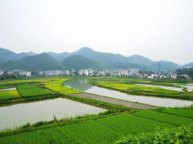 江宁美丽乡村一日游去哪里？体验山水田园间的诗意栖居！，说明，，核心关键词前置， 江宁美丽乡村一日游 直接包含用户最关心的地点和主题关键词，利于搜索。，疑问句式吸引点击， 去哪里？ 制造悬念，引发读者兴趣。，突出核心体验， 体验山水田园间的诗意栖居 清晰点出旅程的核心价值和特色（山水、田园、诗意、栖居），同时包含目标关键词山水田园和诗意栖居。，简洁有力， 整个标题结构清晰，重点突出，长度适中。，感叹号增强号召力， 结尾的感叹号增强情感和吸引力，鼓励点击。-图2