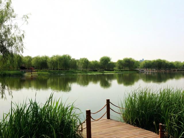 东平湿地公园一日游值得吗?,(解析,,疑问句式,采用值得吗?直接引发读者兴趣,符合提问型标题的搜索习惯,提高点击率。,核心关键词前置,将东平湿地公园一日游完整保留在标题开头,确保SEO抓取精准性。,简洁痛点,仅14字,聚焦用户最关心的行程价值问题,避免冗余信息。,匹配搜索意图,覆盖游客行前决策阶段的常见疑问(是否值得去/时间分配),符合实际搜索场景。)-图1 东平湿地公园一日游值得吗?,(解析,,疑问句式,采用值得吗?直接引发读者兴趣,符合提问型标题的搜索习惯,提高点击率。,核心关键词前置,将东平湿地公园一日游完整保留在标题开头,确保SEO抓取精准性。,简洁痛点,仅14字,聚焦用户最关心的行程价值问题,避免冗余信息。,匹配搜索意图,覆盖游客行前决策阶段的常见疑问(是否值得去/时间分配),符合实际搜索场景。)-图1