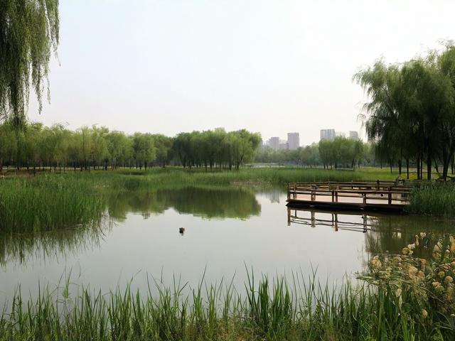 东平湿地公园一日游值得吗?,(解析,,疑问句式,采用值得吗?直接引发读者兴趣,符合提问型标题的搜索习惯,提高点击率。,核心关键词前置,将东平湿地公园一日游完整保留在标题开头,确保SEO抓取精准性。,简洁痛点,仅14字,聚焦用户最关心的行程价值问题,避免冗余信息。,匹配搜索意图,覆盖游客行前决策阶段的常见疑问(是否值得去/时间分配),符合实际搜索场景。)-图2 东平湿地公园一日游值得吗?,(解析,,疑问句式,采用值得吗?直接引发读者兴趣,符合提问型标题的搜索习惯,提高点击率。,核心关键词前置,将东平湿地公园一日游完整保留在标题开头,确保SEO抓取精准性。,简洁痛点,仅14字,聚焦用户最关心的行程价值问题,避免冗余信息。,匹配搜索意图,覆盖游客行前决策阶段的常见疑问(是否值得去/时间分配),符合实际搜索场景。)-图2