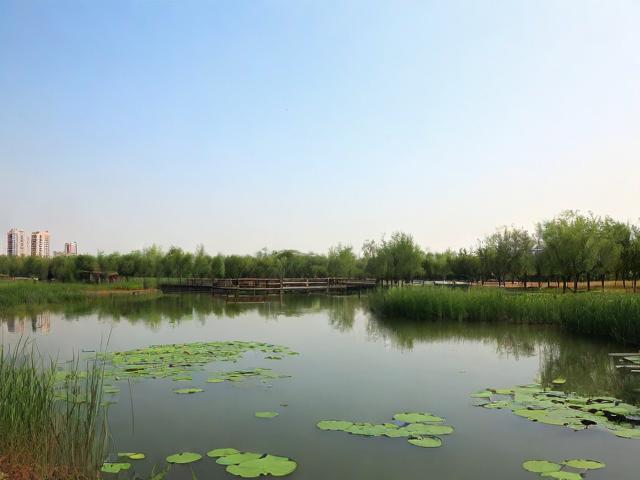 东平湿地公园一日游值得吗?,(解析,,疑问句式,采用值得吗?直接引发读者兴趣,符合提问型标题的搜索习惯,提高点击率。,核心关键词前置,将东平湿地公园一日游完整保留在标题开头,确保SEO抓取精准性。,简洁痛点,仅14字,聚焦用户最关心的行程价值问题,避免冗余信息。,匹配搜索意图,覆盖游客行前决策阶段的常见疑问(是否值得去/时间分配),符合实际搜索场景。)-图4 东平湿地公园一日游值得吗?,(解析,,疑问句式,采用值得吗?直接引发读者兴趣,符合提问型标题的搜索习惯,提高点击率。,核心关键词前置,将东平湿地公园一日游完整保留在标题开头,确保SEO抓取精准性。,简洁痛点,仅14字,聚焦用户最关心的行程价值问题,避免冗余信息。,匹配搜索意图,覆盖游客行前决策阶段的常见疑问(是否值得去/时间分配),符合实际搜索场景。)-图4