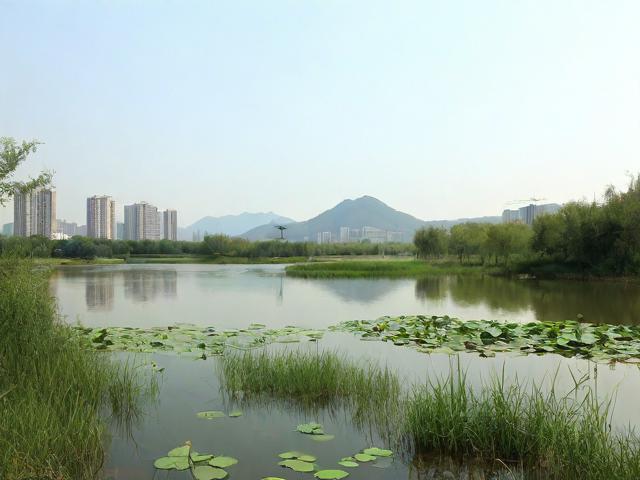 宝鸡湿地公园一日游值得吗?城市绿肺的诗意体验,说明,,疑问形式, 以值得吗?开头,直接引发读者好奇心和点击欲。,核心关键词, 完整包含宝鸡湿地公园、一日游、城市绿肺这三个核心搜索词,利于SEO。,突出亮点, 诗意体验替代原标题的诗意栖居,更侧重游客感受,同时保留原意精华。,简洁明了, 整个标题清晰表达了文章的核心内容(一日游评价、城市绿肺价值、诗意感受)。-图2 宝鸡湿地公园一日游值得吗?城市绿肺的诗意体验,说明,,疑问形式, 以值得吗?开头,直接引发读者好奇心和点击欲。,核心关键词, 完整包含宝鸡湿地公园、一日游、城市绿肺这三个核心搜索词,利于SEO。,突出亮点, 诗意体验替代原标题的诗意栖居,更侧重游客感受,同时保留原意精华。,简洁明了, 整个标题清晰表达了文章的核心内容(一日游评价、城市绿肺价值、诗意感受)。-图2