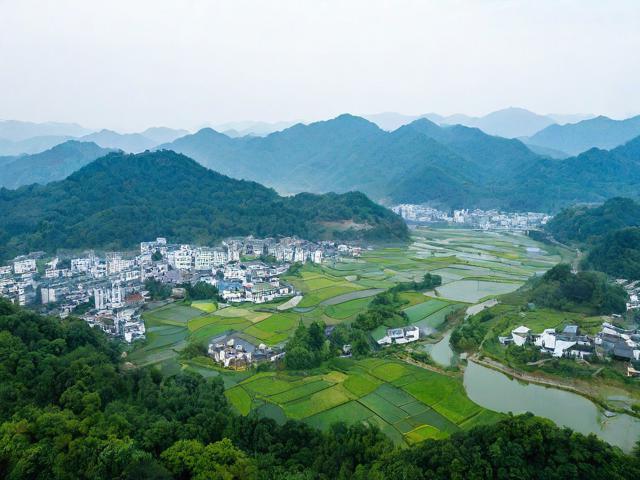 为什么选择湾里?揭秘其独特优势与吸引力-图4 为什么选择湾里?揭秘其独特优势与吸引力-图4