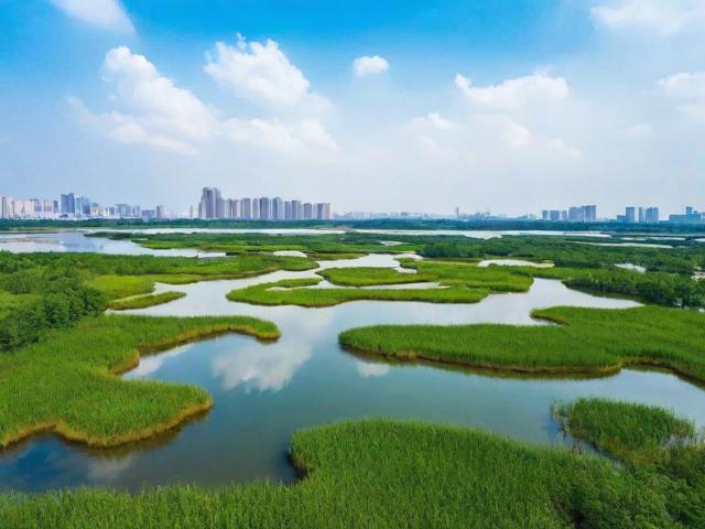南京周边有哪些湿地秘境适合一日游?解锁绿野仙踪!-图1 南京周边有哪些湿地秘境适合一日游?解锁绿野仙踪!-图1