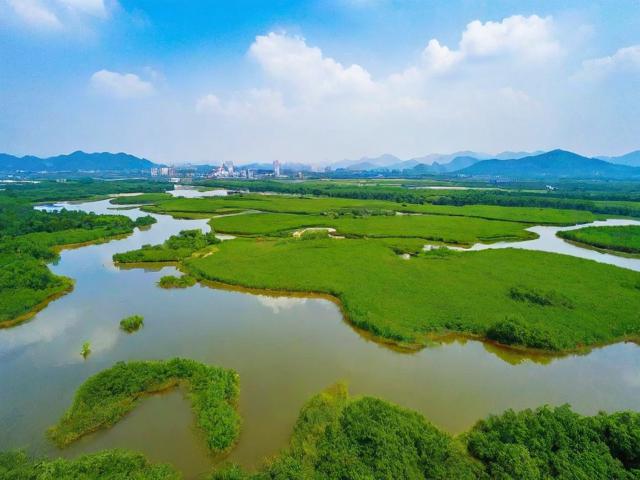 南京周边有哪些湿地秘境适合一日游?解锁绿野仙踪!-图2 南京周边有哪些湿地秘境适合一日游?解锁绿野仙踪!-图2