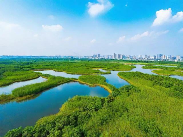 南京周边有哪些湿地秘境适合一日游?解锁绿野仙踪!-图3 南京周边有哪些湿地秘境适合一日游?解锁绿野仙踪!-图3