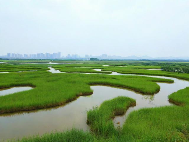 南京周边有哪些湿地秘境适合一日游?解锁绿野仙踪!-图4 南京周边有哪些湿地秘境适合一日游?解锁绿野仙踪!-图4