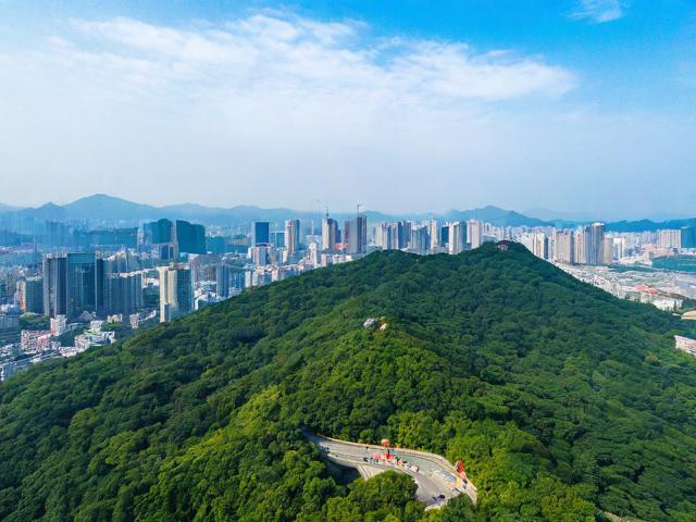 为什么南山景区成为三亚旅游的首选第一站?-图1 为什么南山景区成为三亚旅游的首选第一站?-图1