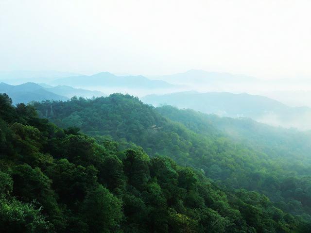 晨露未晞探秘隐山,你的第一站旅行指南在哪里?-图3 晨露未晞探秘隐山,你的第一站旅行指南在哪里?-图3