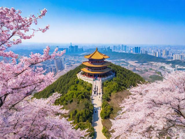 如何规划沈阳海棠山一日游？秘境探秘与历史穿越指南-图4