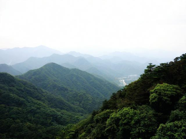 青原山一日游怎么安排?最佳路线与必去景点推荐-图1 青原山一日游怎么安排?最佳路线与必去景点推荐-图1