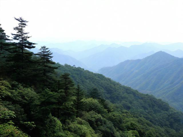 青原山一日游怎么安排?最佳路线与必去景点推荐-图3 青原山一日游怎么安排?最佳路线与必去景点推荐-图3