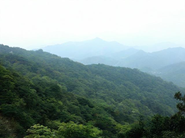 青原山一日游怎么安排?最佳路线与必去景点推荐-图4 青原山一日游怎么安排?最佳路线与必去景点推荐-图4